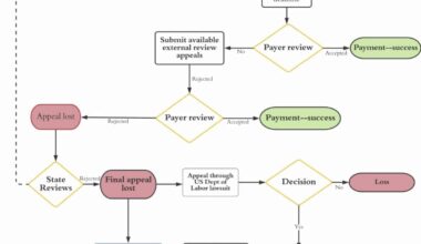 Risk Job Insurance claims denial process showing qualification and adjudication failure points